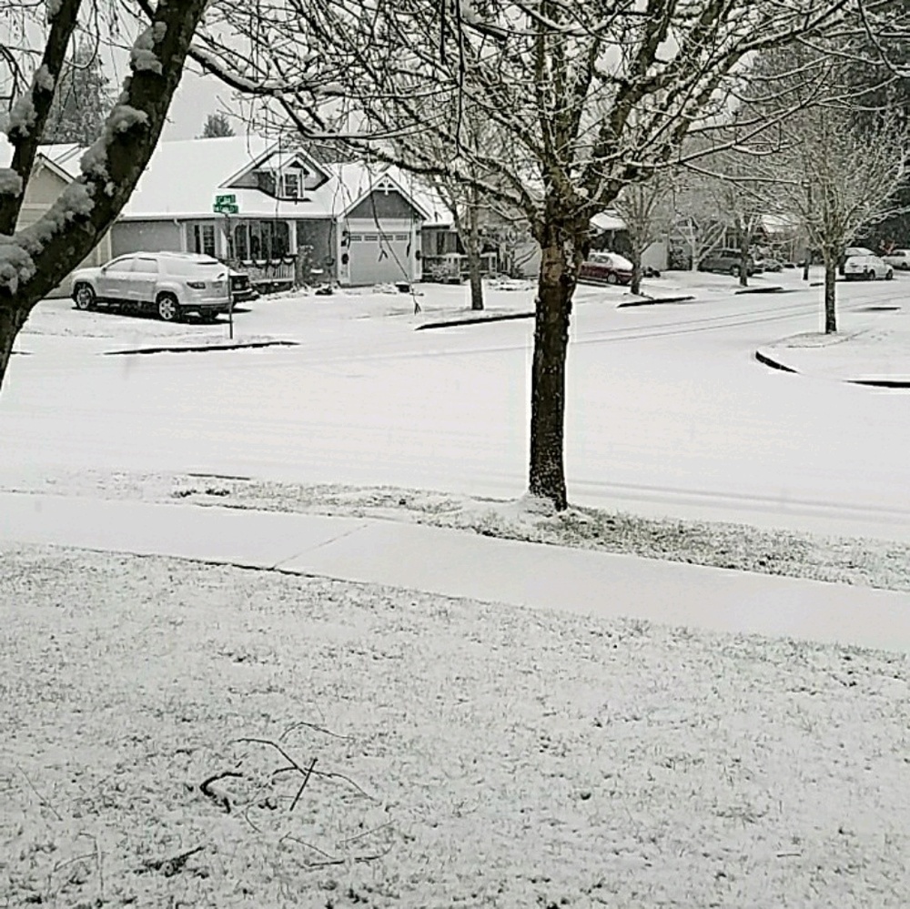 Meet your Posher, Edward